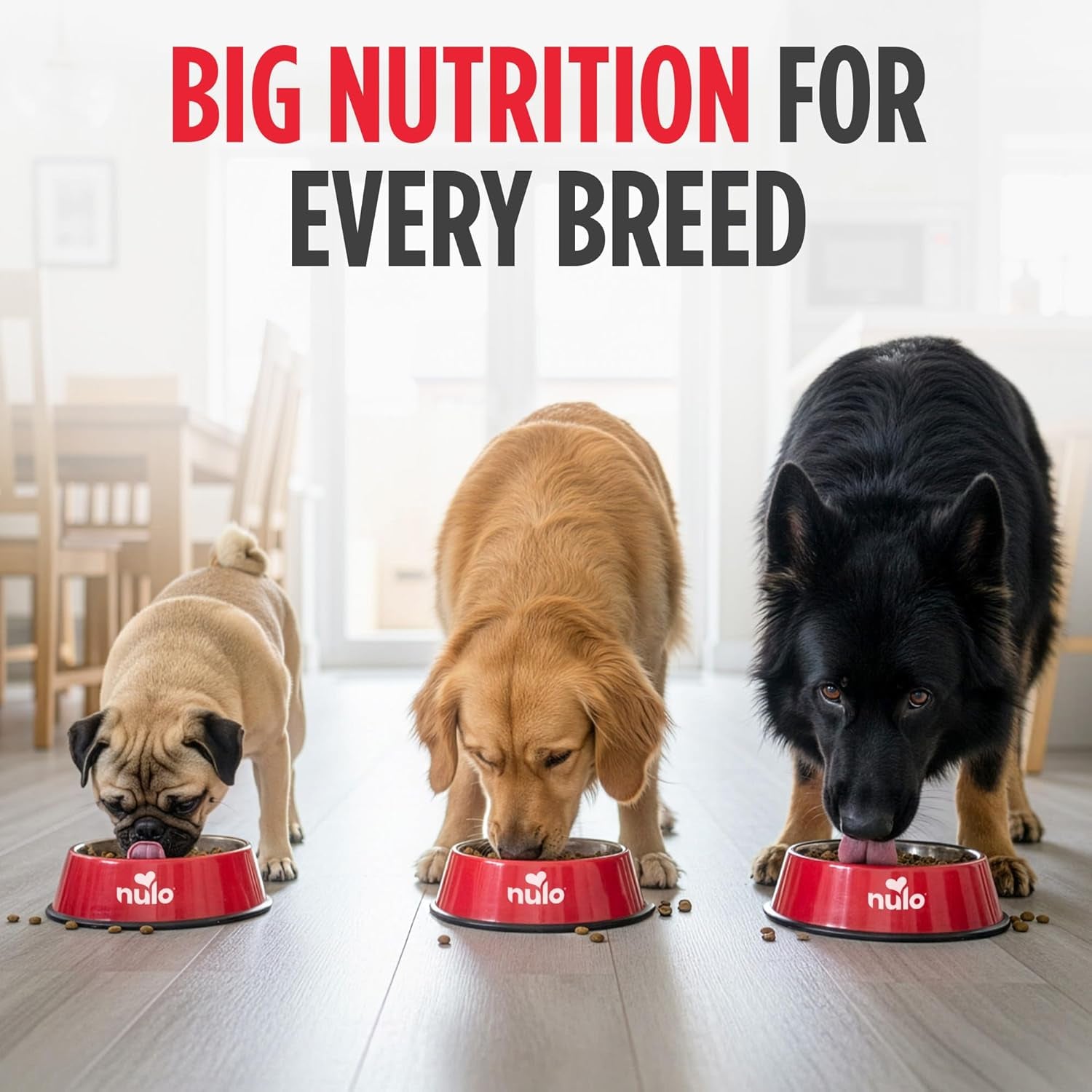 Freestyle Adult Dog Food, Premium All Natural Grain-Free Dry Small Kibble Dog Food, with BC30 Probiotic for Healthy Digestion, and High Animal-Based Protein with No Chicken or Egg Alternatives