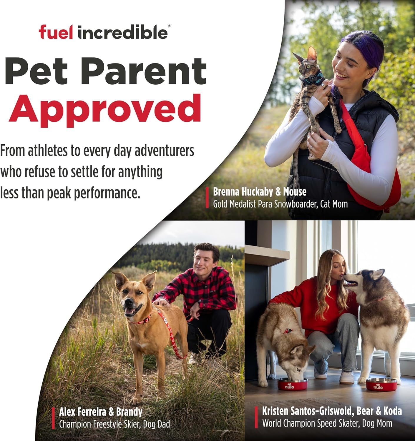 Freestyle Adult Dog Food, Premium All Natural Grain-Free Dry Small Kibble Dog Food, with BC30 Probiotic for Healthy Digestion, and High Animal-Based Protein with No Chicken or Egg Alternatives